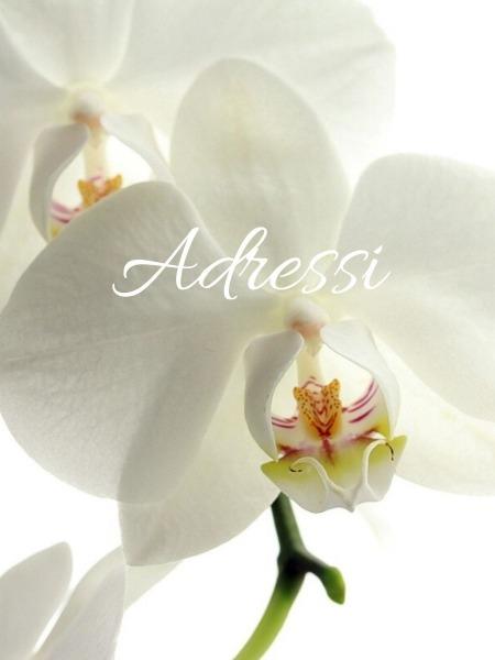 ADRESSI